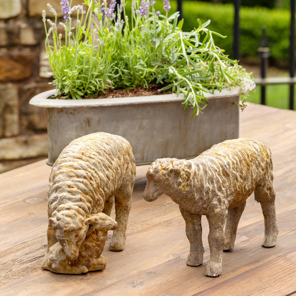Country Sheep Family - Set of 2