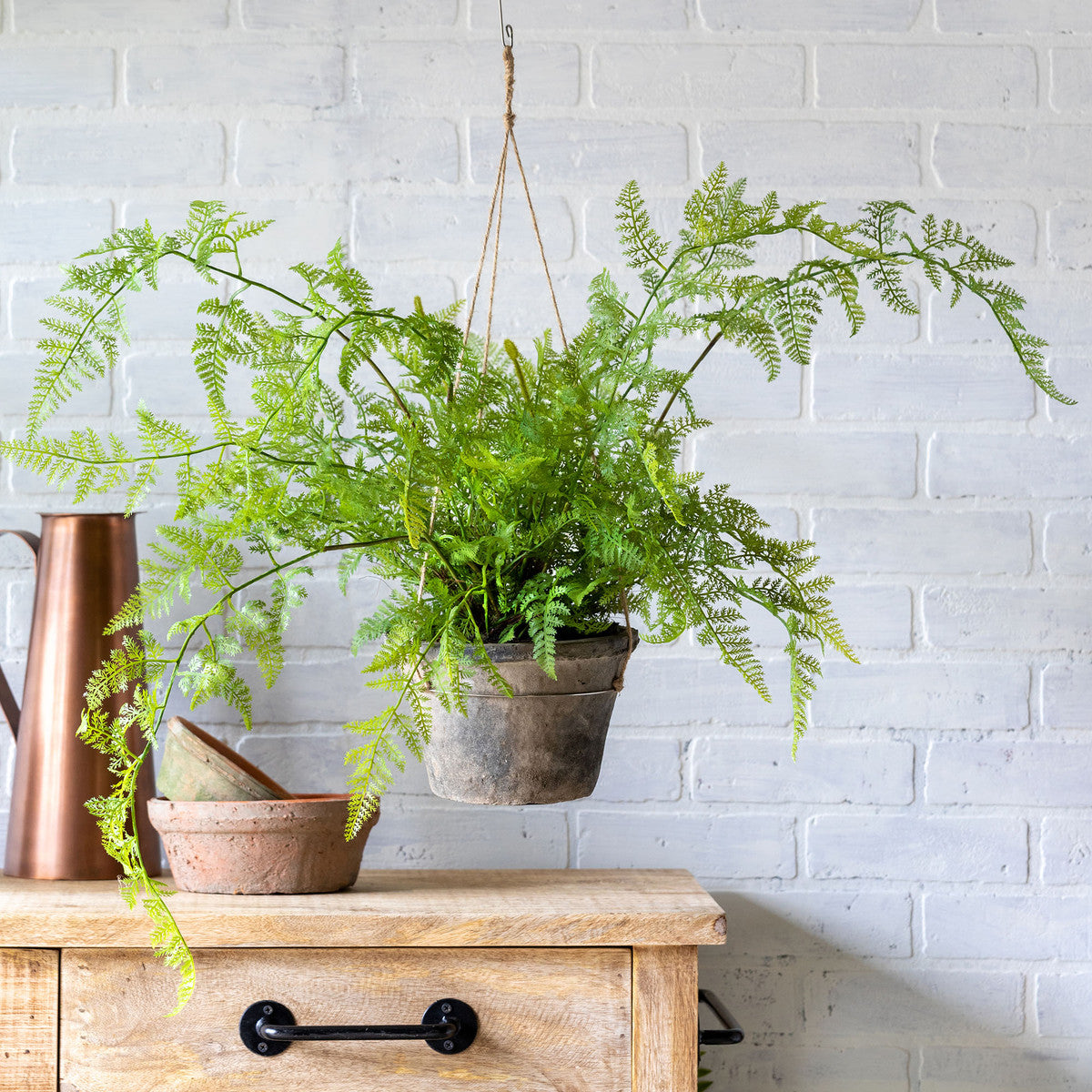 Potted Hanging Fern - Large