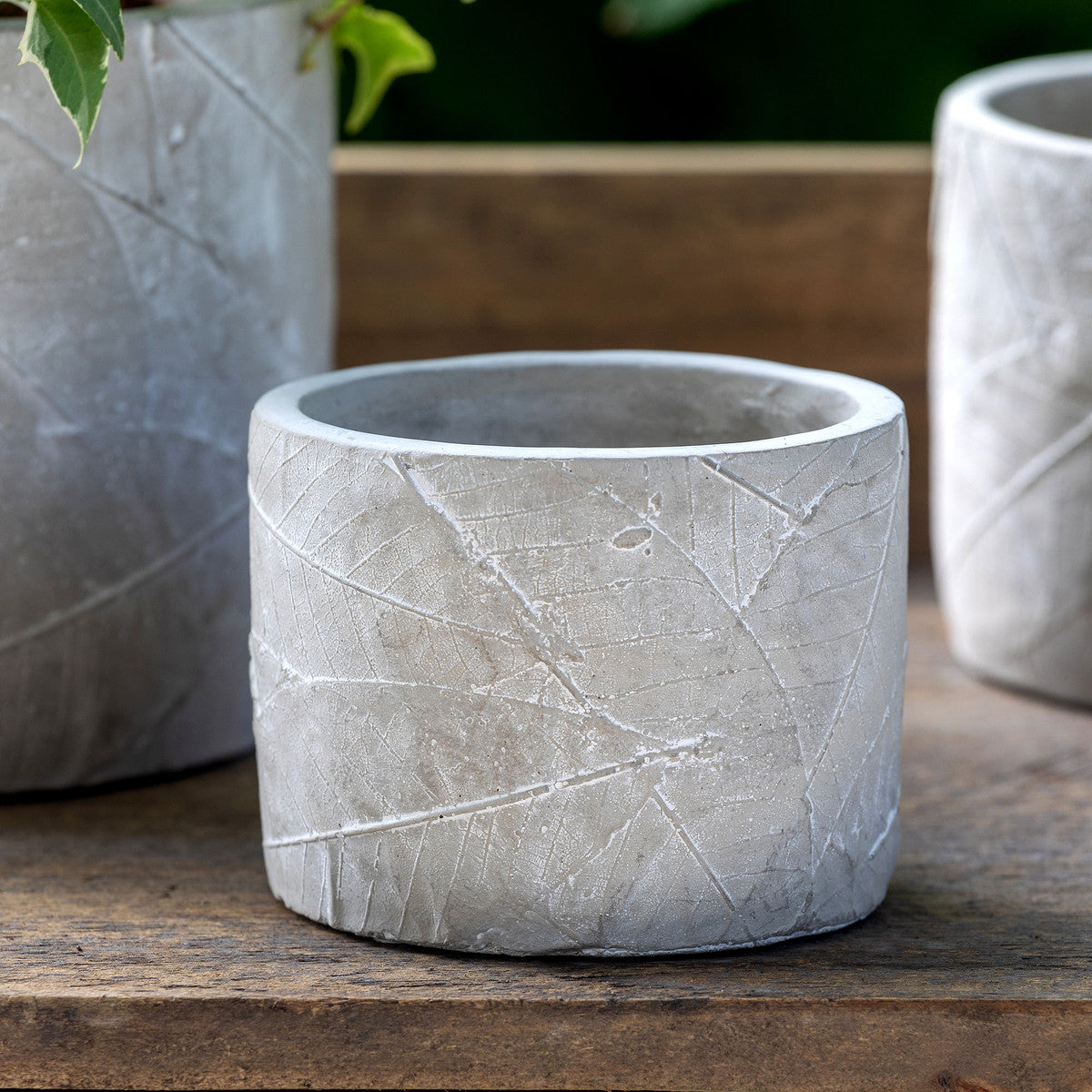 Leaf Embossed Cement Pot - Small
