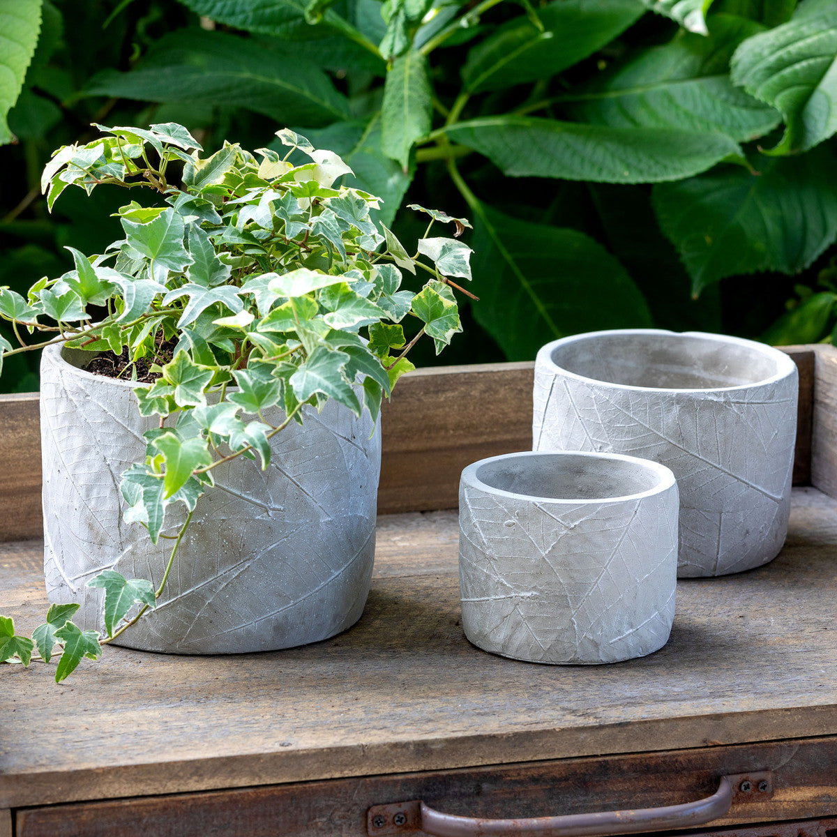 Leaf Embossed Cement Pot - Small
