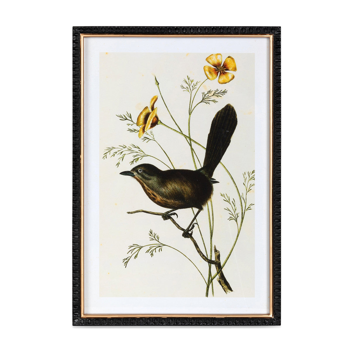 Summer Bird Framed Prints - 4 Assorted Styles