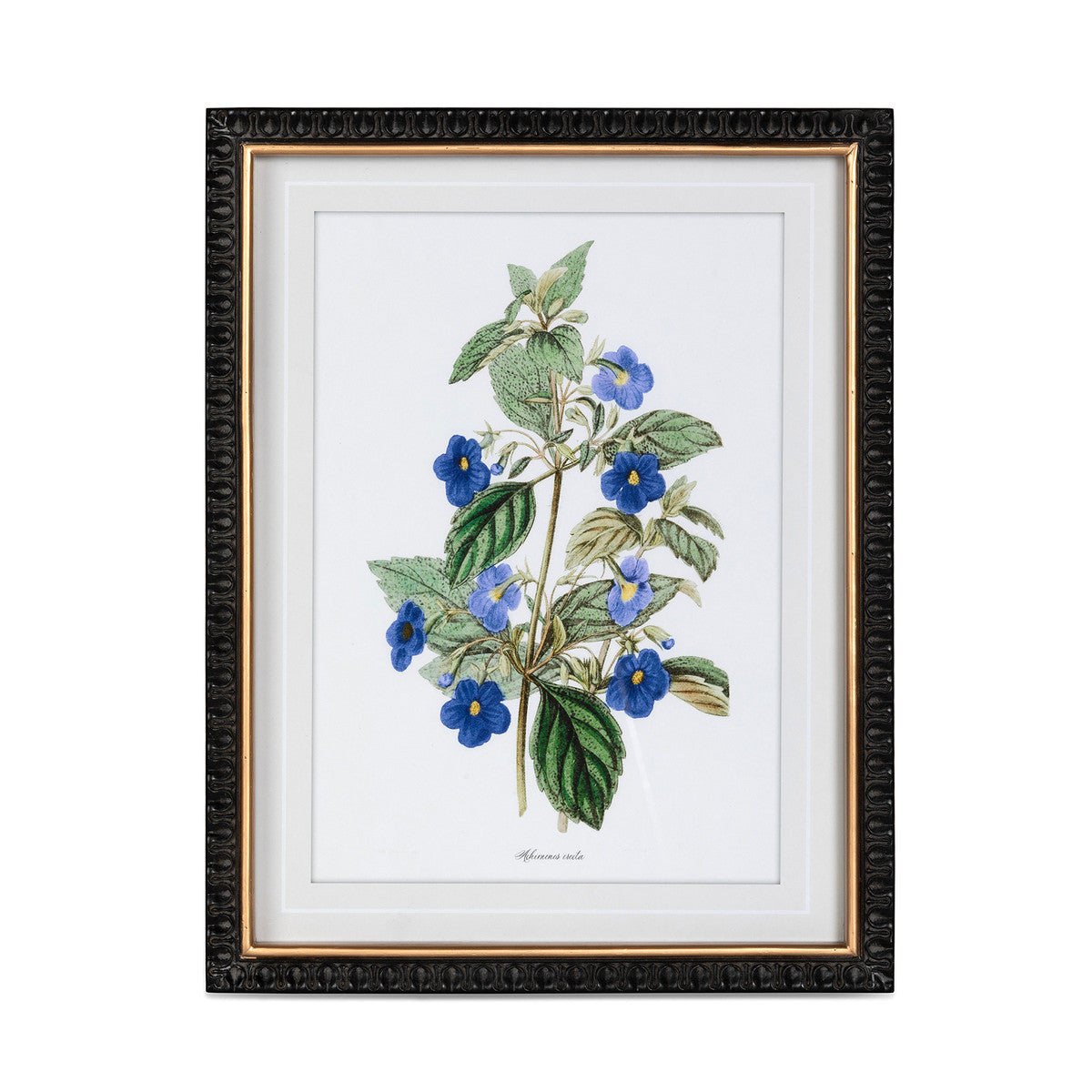 Summer Flower Framed Prints - 4 Assorted Styles