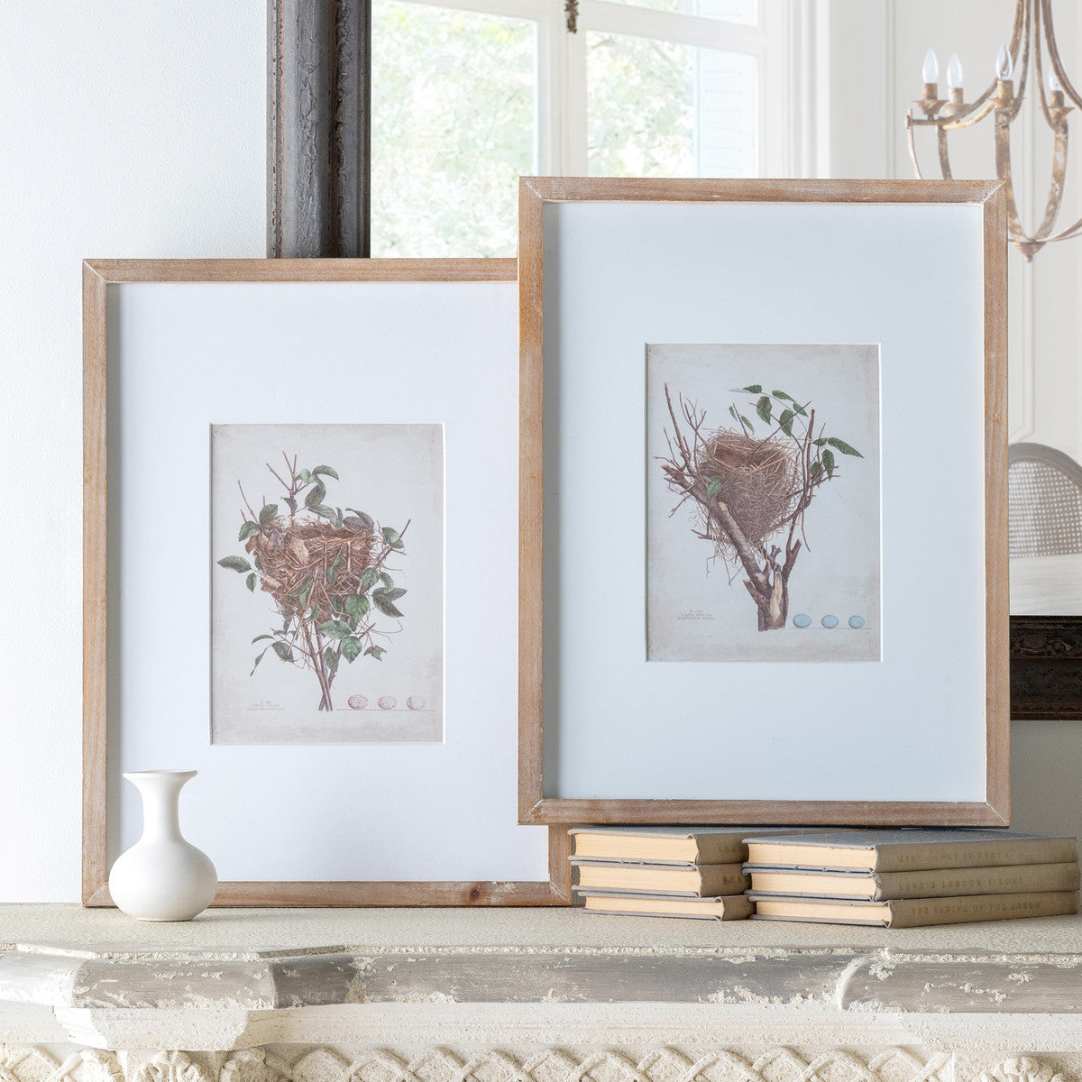 Feathered Nest Framed Print - 2 Assorted Styles