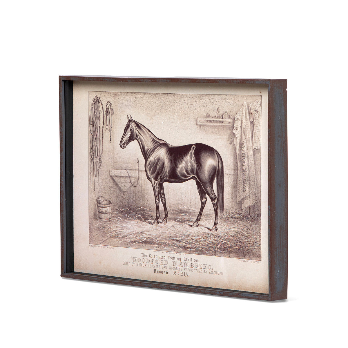 Prized Race Horse Framed Prints - 6 Assorted Styles