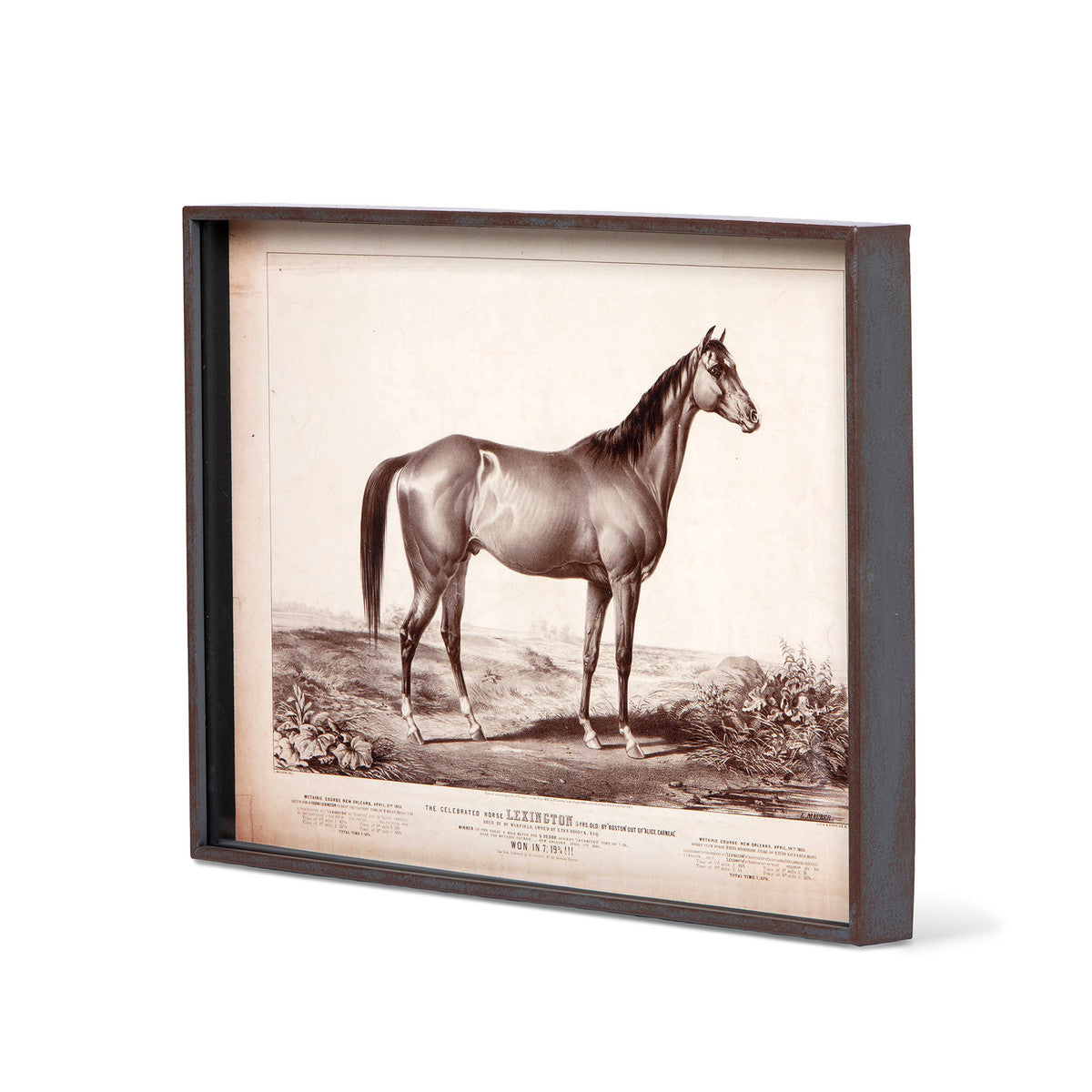 Prized Race Horse Framed Prints - 6 Assorted Styles